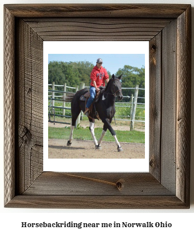 horseback riding near me in Norwalk, Ohio